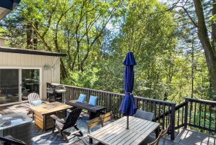 Single Family Residence,  Palo Alto drive, Russian River, CA 95446 - 27