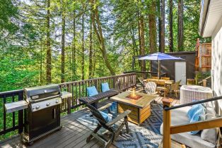 Single Family Residence,  Palo Alto drive, Russian River, CA 95446 - 3