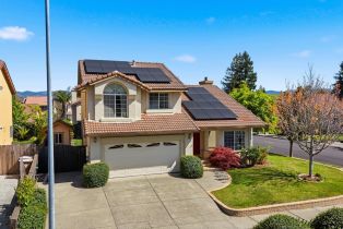 Single Family Residence,  Salmon Creek lane, Napa, CA 94558 - 3