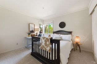 Single Family Residence,  Salmon Creek lane, Napa, CA 94558 - 25