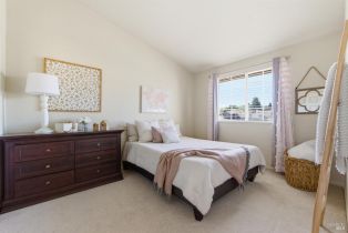 Single Family Residence,  Salmon Creek lane, Napa, CA 94558 - 38