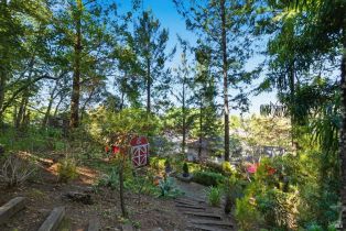 Single Family Residence,  High street, Calistoga, CA 94515 - 49