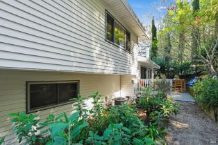 Single Family Residence,  High street, Calistoga, CA 94515 - 39