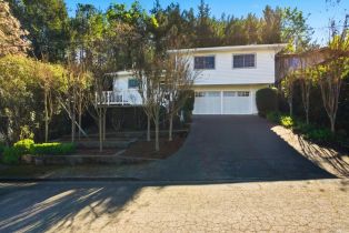 Single Family Residence,  High street, Calistoga, CA 94515 - 52