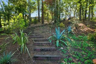 Single Family Residence,  High street, Calistoga, CA 94515 - 48