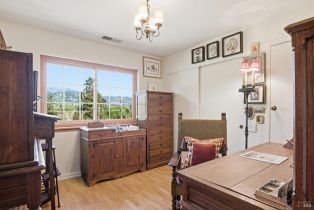 Single Family Residence,  High street, Calistoga, CA 94515 - 29