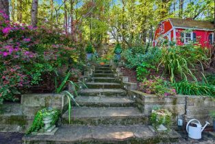 Single Family Residence,  High street, Calistoga, CA 94515 - 44