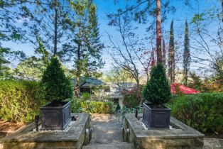 Single Family Residence,  High street, Calistoga, CA 94515 - 45
