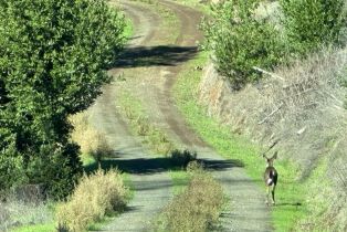 Residential Lot,  Erland road, Santa Rosa, CA 95404 - 26