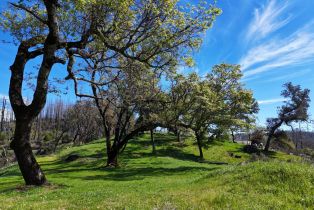 Residential Lot,  Erland road, Santa Rosa, CA 95404 - 16