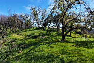 Residential Lot,  Erland road, Santa Rosa, CA 95404 - 17
