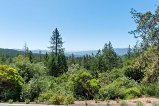 Single Family Residence, Bella Vista drive, Angwin, CA 94508 - 31