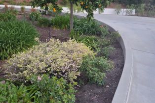 Single Family Residence,  Bella Vista drive, Angwin, CA 94508 - 6