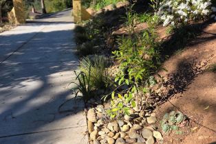 Single Family Residence,  Bella Vista drive, Angwin, CA 94508 - 5