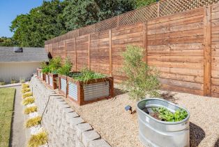 Single Family Residence,  Tamarisk drive, Napa, CA 94559 - 49