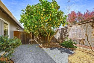 Residential Income, 437 University street, Healdsburg, CA 95448 - 47
