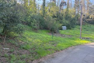Residential Lot,  Circle drive, Angwin, CA 94508 - 6