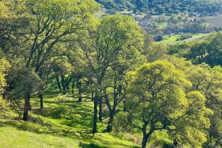 Residential Acreage,  Grandview road, Napa, CA 94558 - 11
