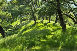Residential Acreage,  Grandview road, Napa, CA 94558 - 91