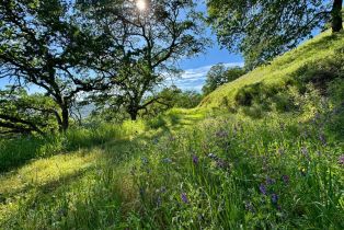 Residential Acreage,  Grandview road, Napa, CA 94558 - 88