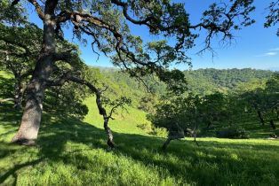 Residential Acreage,  Grandview road, Napa, CA 94558 - 61
