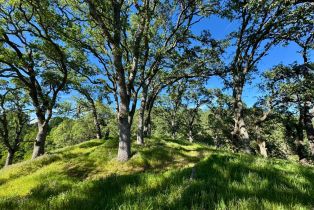 Residential Acreage,  Grandview road, Napa, CA 94558 - 94