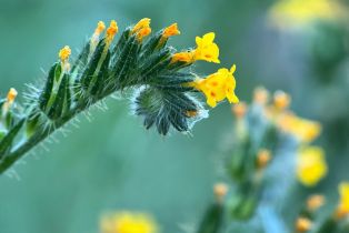 Residential Acreage,  Grandview road, Napa, CA 94558 - 58