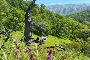 Residential Acreage,  Grandview road, Napa, CA 94558 - 42