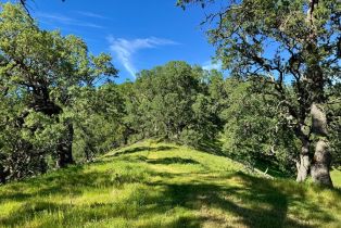 Residential Acreage,  Grandview road, Napa, CA 94558 - 90