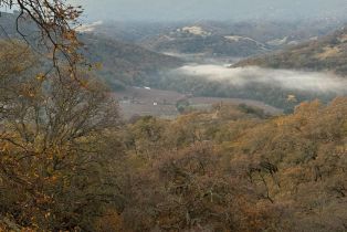 Residential Acreage,  Grandview road, Napa, CA 94558 - 44