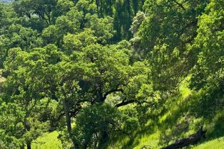 Residential Acreage,  Grandview road, Napa, CA 94558 - 85