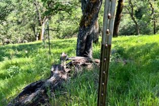 Residential Acreage,  Grandview road, Napa, CA 94558 - 81