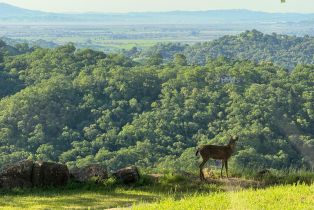 Residential Acreage,  Grandview road, Napa, CA 94558 - 73