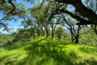 Residential Acreage,  Grandview road, Napa, CA 94558 - 10