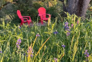 Residential Acreage,  Grandview road, Napa, CA 94558 - 76