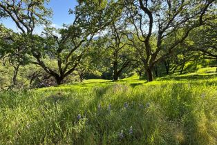 Residential Acreage,  Grandview road, Napa, CA 94558 - 67