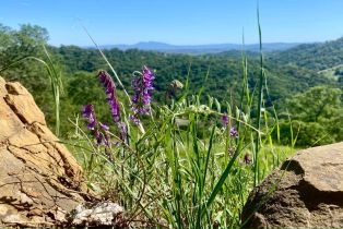 Residential Acreage,  Grandview road, Napa, CA 94558 - 25