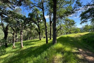 Residential Acreage,  Grandview road, Napa, CA 94558 - 83