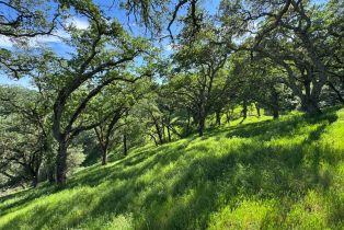 Residential Acreage,  Grandview road, Napa, CA 94558 - 71