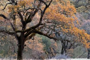 Residential Acreage,  Grandview road, Napa, CA 94558 - 47