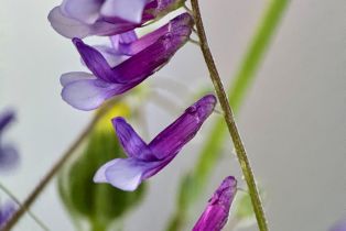 Residential Acreage,  Grandview road, Napa, CA 94558 - 60