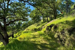 Residential Acreage,  Grandview road, Napa, CA 94558 - 87