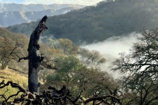 Residential Acreage,  Grandview road, Napa, CA 94558 - 50