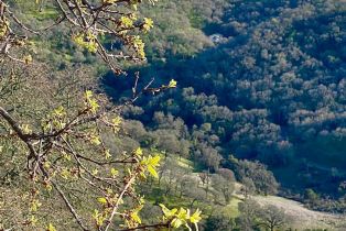 Residential Acreage,  Grandview road, Napa, CA 94558 - 12