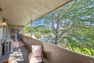 Condominium,  Neotomas avenue, Santa Rosa, CA 95405 - 19