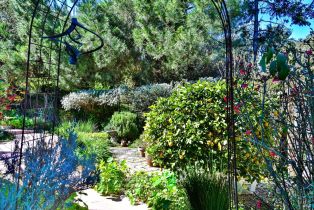 Single Family Residence,  Paula lane, Petaluma, CA 94952 - 27