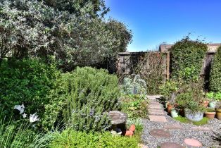Single Family Residence,  Paula lane, Petaluma, CA 94952 - 23