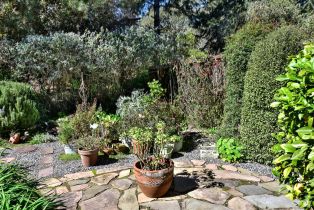 Single Family Residence,  Paula lane, Petaluma, CA 94952 - 26