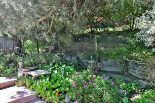 Single Family Residence,  Paula lane, Petaluma, CA 94952 - 22