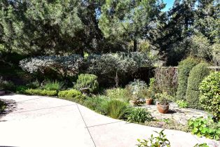 Single Family Residence,  Paula lane, Petaluma, CA 94952 - 28